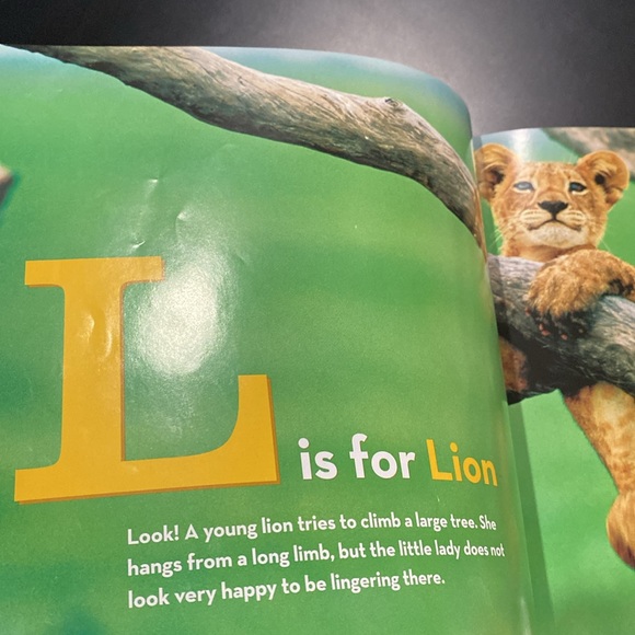National Geographic Little Kids: African Animal Alphabet - Hardcover Book - Picture 7 of 10